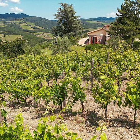 Tenuta Il Poggetto Radda in Chianti Buitenkant foto