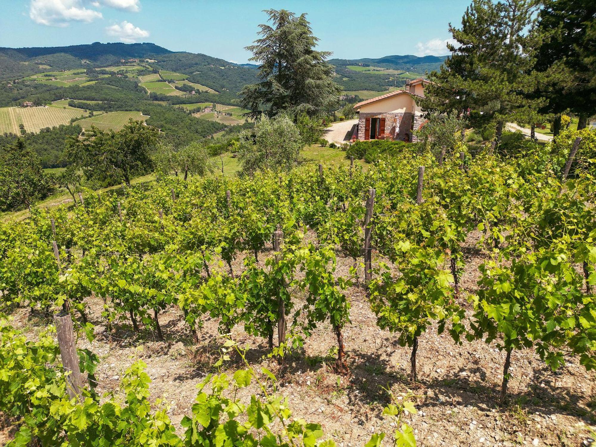 Tenuta Il Poggetto Radda in Chianti Buitenkant foto