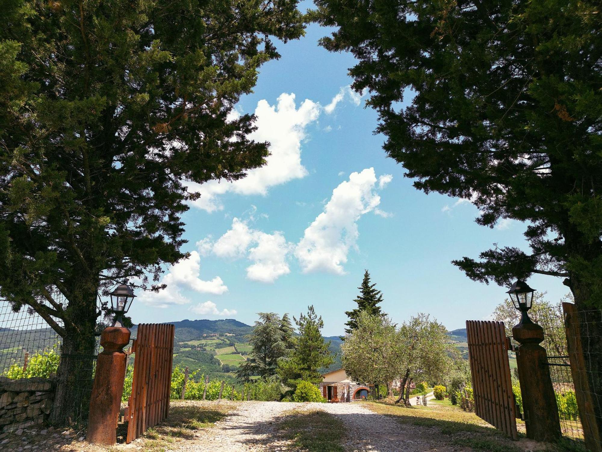 Tenuta Il Poggetto Radda in Chianti Buitenkant foto