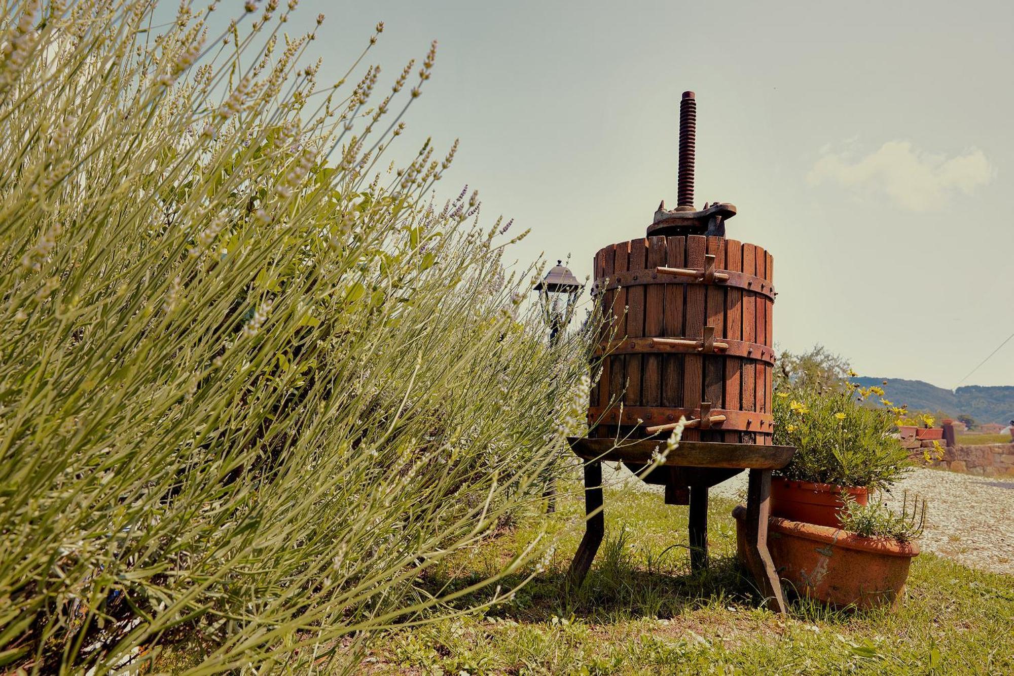 Tenuta Il Poggetto Radda in Chianti Buitenkant foto